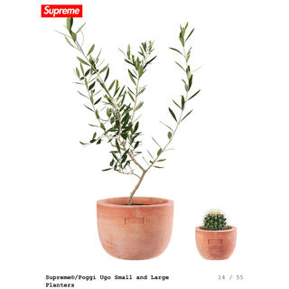 Supreme - Supreme / Poggi Ugo Small Planter 植木鉢の通販 by でぇ ...