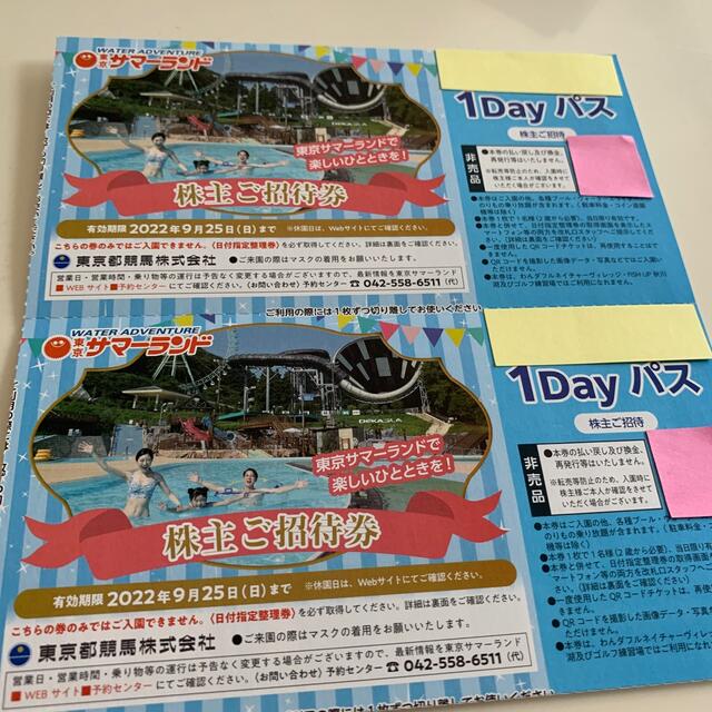 東京都競馬　株主優待　東京サマーランド　フリーパス券　2枚