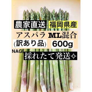 アスパラガス MLサイズ(訳あり品)即購入OKです(野菜)