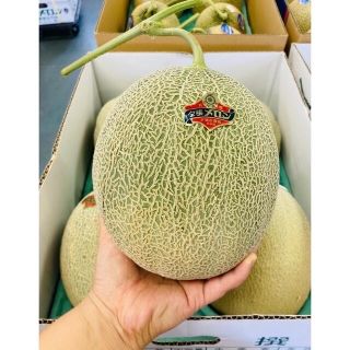 共撰🍈夕張メロン4玉入り✨赤肉☀️優品(8/23.24限定)(フルーツ)