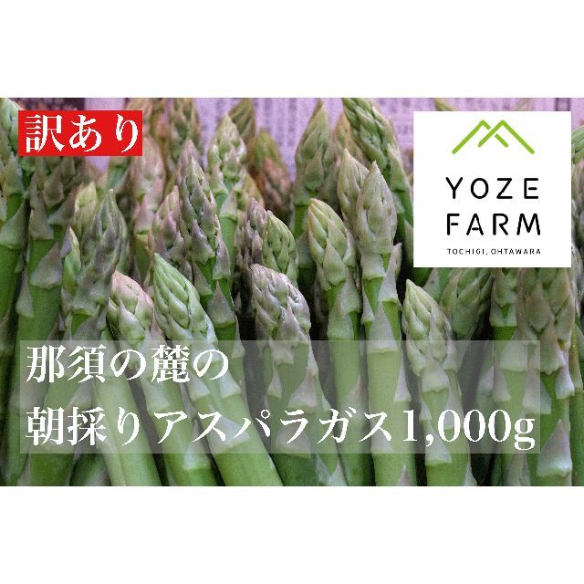 【訳あり品/クール便】那須の麓の朝採りアスパラガス　サイズいろいろ1000g 食品/飲料/酒の食品(野菜)の商品写真