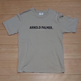 アーノルドパーマー(Arnold Palmer)のアーノルドパーマー Tシャツ レディース M(Tシャツ(半袖/袖なし))