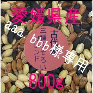 aaa.bbb様専用  古代米3種ふぞろいブレンド　愛媛県産　800ｇ(米/穀物)