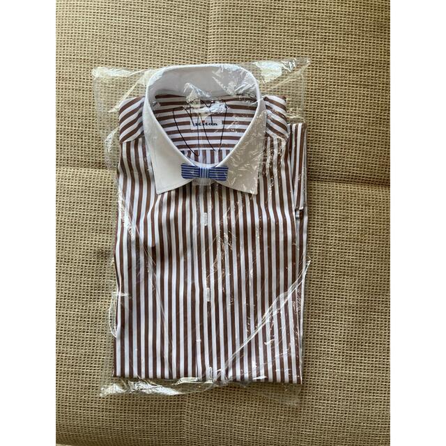 キートン kiton ワイシャツメンズ