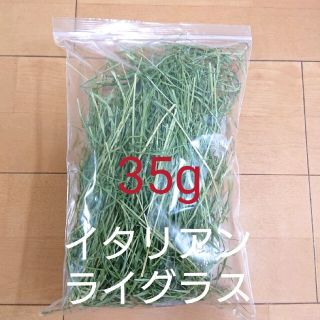 乾燥牧草  イタリアンライグラス  35g(小動物)