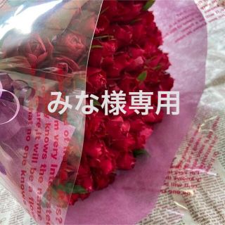 みな様専用　赤薔薇60本　紫60本　2セット　クール便対応(その他)