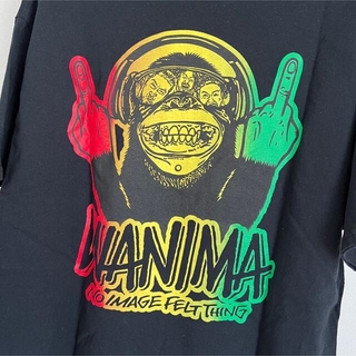 ワニマ(WANIMA)のWANIMA Tシャツ Lサイズ(ミュージシャン)