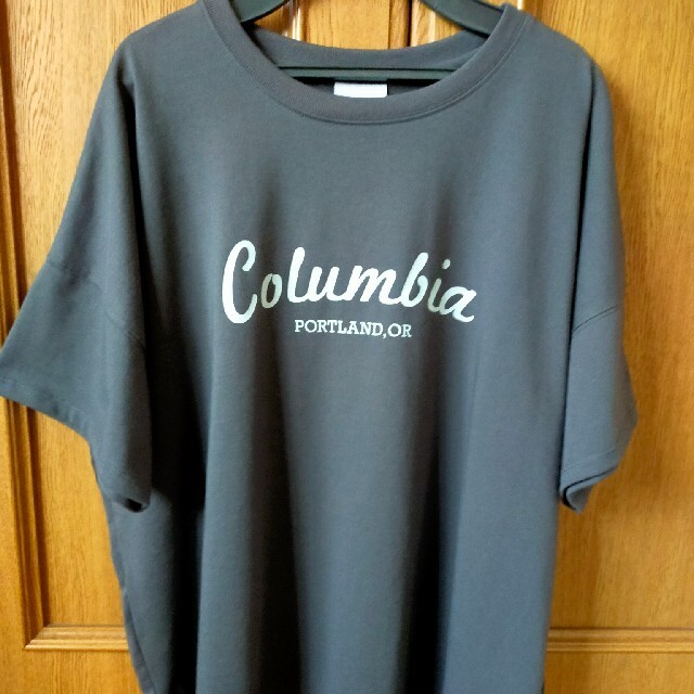 Columbia(コロンビア)のColumbiaリラクシングモーメンツショートスリーブTシャツM011Shark レディースのトップス(Tシャツ(半袖/袖なし))の商品写真