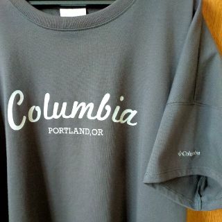 コロンビア(Columbia)のColumbiaリラクシングモーメンツショートスリーブTシャツM011Shark(Tシャツ(半袖/袖なし))