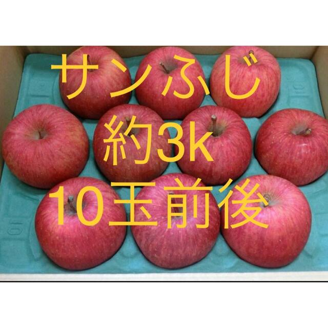 青森県産　サンふじ　りんごフルーツ