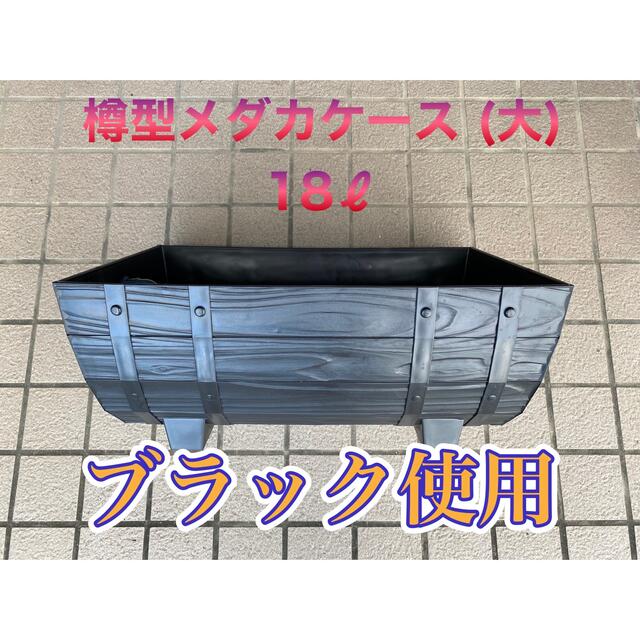 ☆メダカ飼育ケース1個 緑36L オーバーフロー加工☆めだか容器タライoug