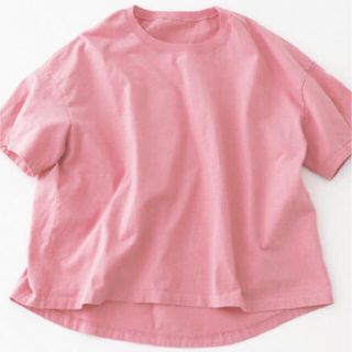 ネストローブ(nest Robe)のnest robe  度詰め天竺タックスリーブプルオーバー(Tシャツ(半袖/袖なし))