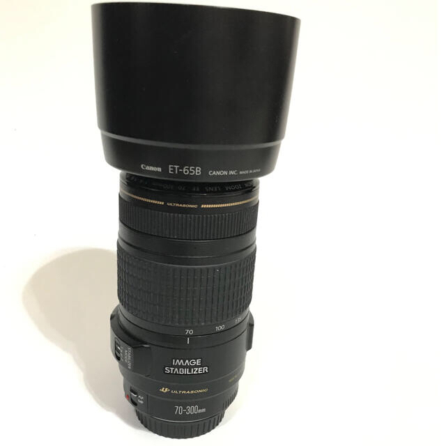 Canon EF70-300mm F4-5.6 IS USM