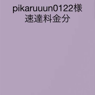 pikaruuun0122様　速達料金(その他)