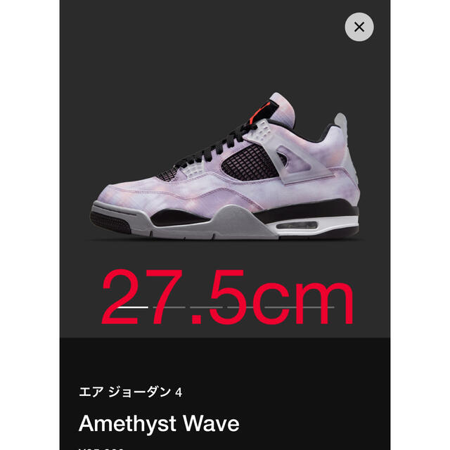 NIKE(ナイキ)のNike Air Jordan 4 Amethyst Wave 27.5cm メンズの靴/シューズ(スニーカー)の商品写真