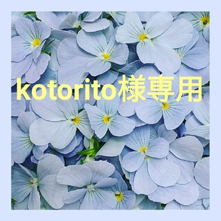 kotorito様専用(その他)