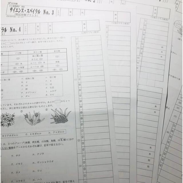 浜学園　小5 2021年度 夏期講習　国語、算数、理科 エンタメ/ホビーの本(語学/参考書)の商品写真