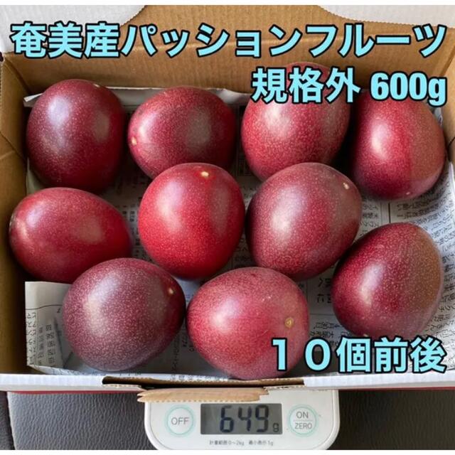 奄美産パッションフルーツ規格外600グラム 食品/飲料/酒の食品(フルーツ)の商品写真