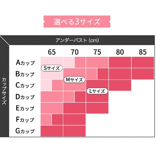 GYDA(ジェイダ)のLサイズ アガリズム ナイトブラ AGARISM GYDA 正規品 レディースの下着/アンダーウェア(その他)の商品写真