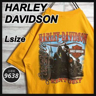 ハーレーダビッドソン(Harley Davidson)の【USA製!!】ハーレーダビッドソン ✈︎バックプリント ゆるだぼ Tシャツ(Tシャツ/カットソー(半袖/袖なし))