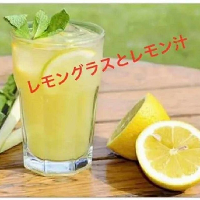 紫レモングラス苗３本最高の香り 食品/飲料/酒の食品(野菜)の商品写真