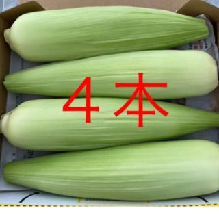 とうもろこし(野菜)