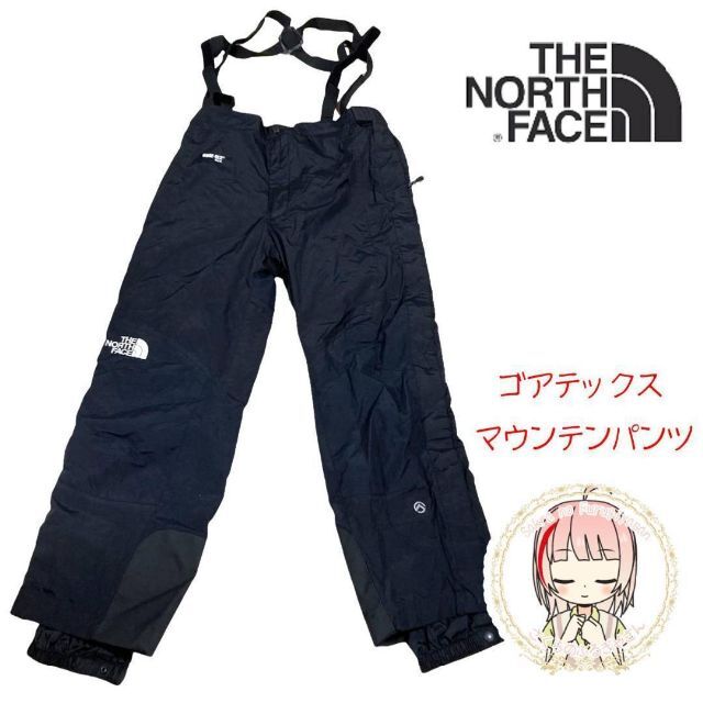 THE NORTH FACE(ザノースフェイス)のザ ノースフェイス シリーズ ゴアテックス マウンテンパンツ ブラック M 古着 メンズのパンツ(その他)の商品写真