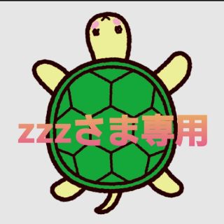 zzzさま専用☆カメ2袋(その他)