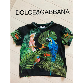 ドルチェアンドガッバーナ(DOLCE&GABBANA)のDOLCE&GABBANA 4Y キッズTシャツ(Tシャツ/カットソー)
