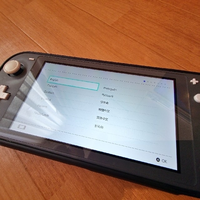 Nintendo Switch Lite グレー　ケース&保護フィルム付き 3
