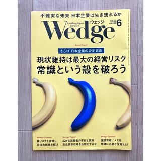 Wedge ウェッジ　2022.6(ビジネス/経済/投資)