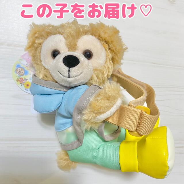 お値下げ！TDS ビュティフル レイニィ デイズ ぬいぐるみチャーム 4点