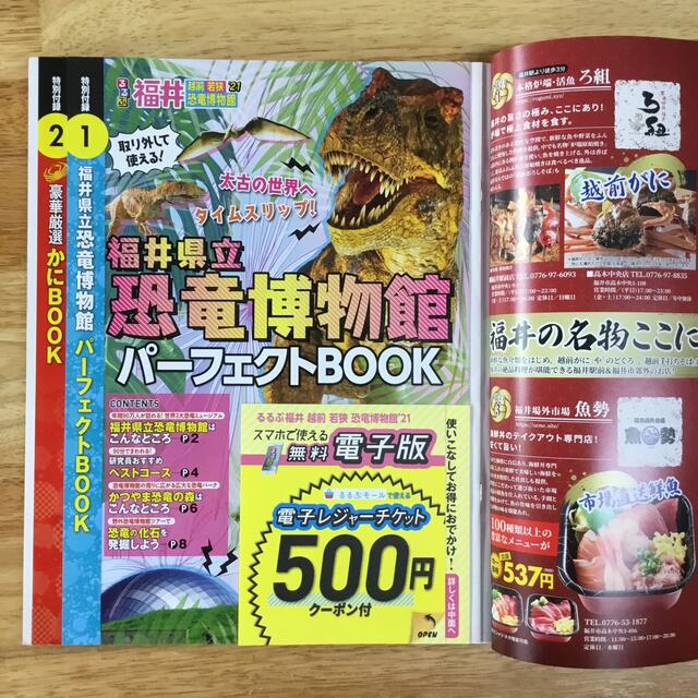 るるぶ福井 越前・若狭・恐竜博物館 ’２１ エンタメ/ホビーの本(地図/旅行ガイド)の商品写真