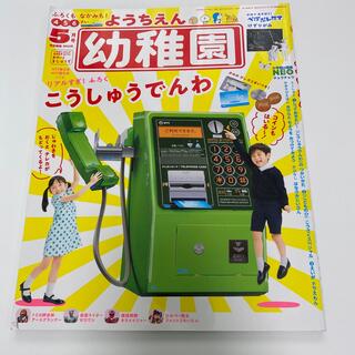 幼稚園 2020年 05月号(絵本/児童書)
