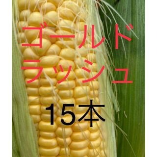 ゴールドラッシュ　トウモロコシ(野菜)