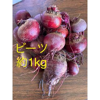 ビーツ(約1kg)(野菜)