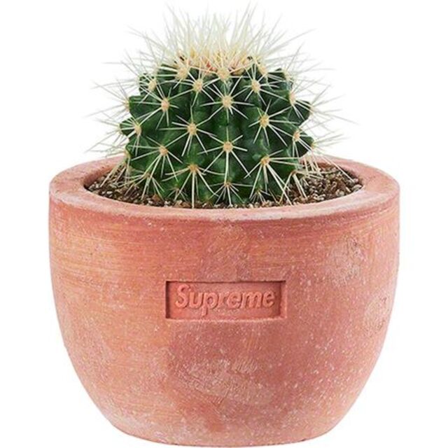 Supreme Poggi Ugo Small Planter Terracot