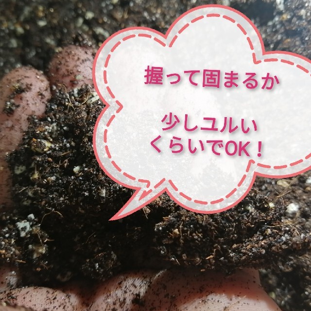 ネルソル多肉植物寄せ植え用の土 ハンドメイドのフラワー/ガーデン(その他)の商品写真