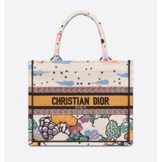 クリスチャンディオール(Christian Dior)のDIOR BOOK TOTE スモールバッグ(トートバッグ)