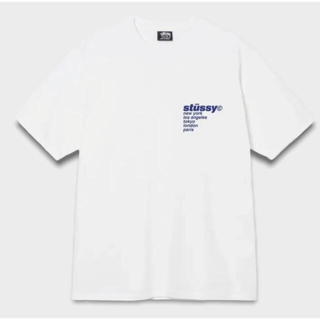 STUSSY strawberry ストロベリー　Tシャツ