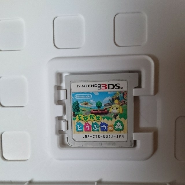 ニンテンドー3DS(ニンテンドー3DS)の3ＤＳソフト とびだせ どうぶつの森 エンタメ/ホビーのゲームソフト/ゲーム機本体(その他)の商品写真