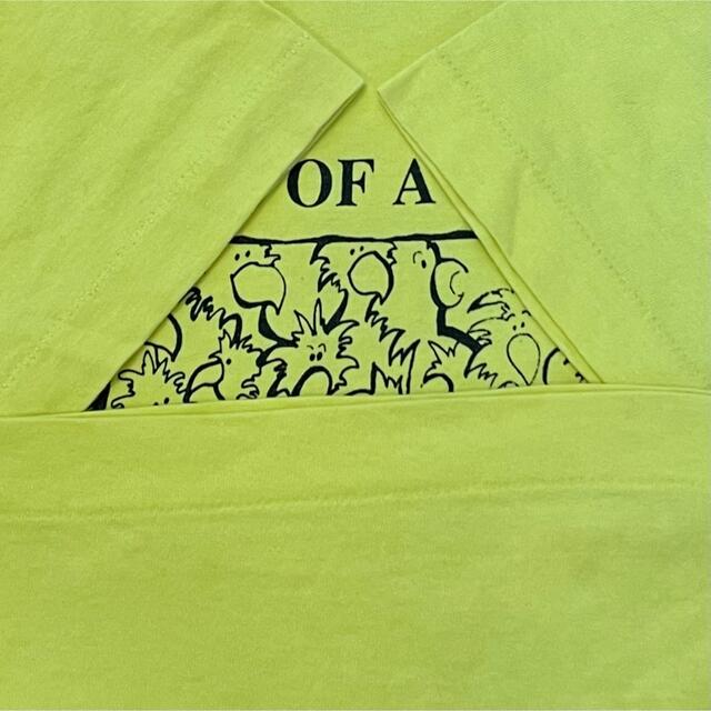 FRUIT OF THE LOOM(フルーツオブザルーム)の【FRUIT OF THE LOOM】90s USA製 鳥 Tシャツ us古着 メンズのトップス(Tシャツ/カットソー(半袖/袖なし))の商品写真