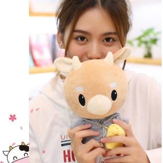 韓国ドラマ ぬいぐるみ 彼女の私生活 キム秘書は(ピアス)