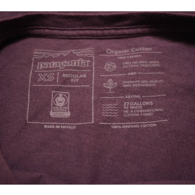 patagonia(パタゴニア)のpatagonia Tシャツ XSサイズ メンズのトップス(Tシャツ/カットソー(半袖/袖なし))の商品写真