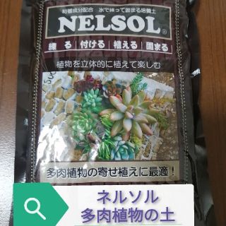 ネルソル多肉植物寄せ植え用の土(その他)