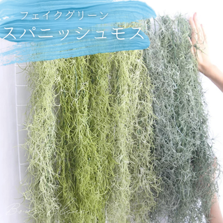 【匿名配送】お部屋を彩るフェイクグリーン チランジア スパニッシュモス ライト(その他)