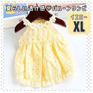 バルーンワンピ　黄　XL 新品　犬服　猫服　ペットウェア　ドッグウェア　色違い(犬)