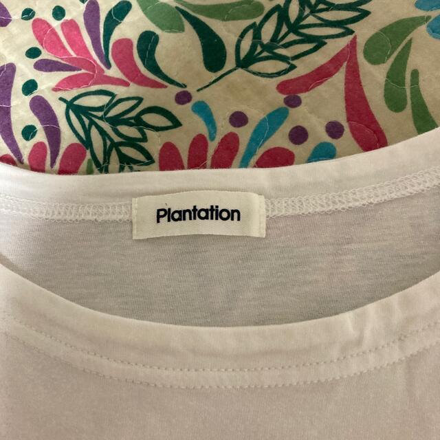 Plantation(プランテーション)のプランテーション 半袖Tシャツ グレー ホワイト2点セット レディースのトップス(Tシャツ(半袖/袖なし))の商品写真