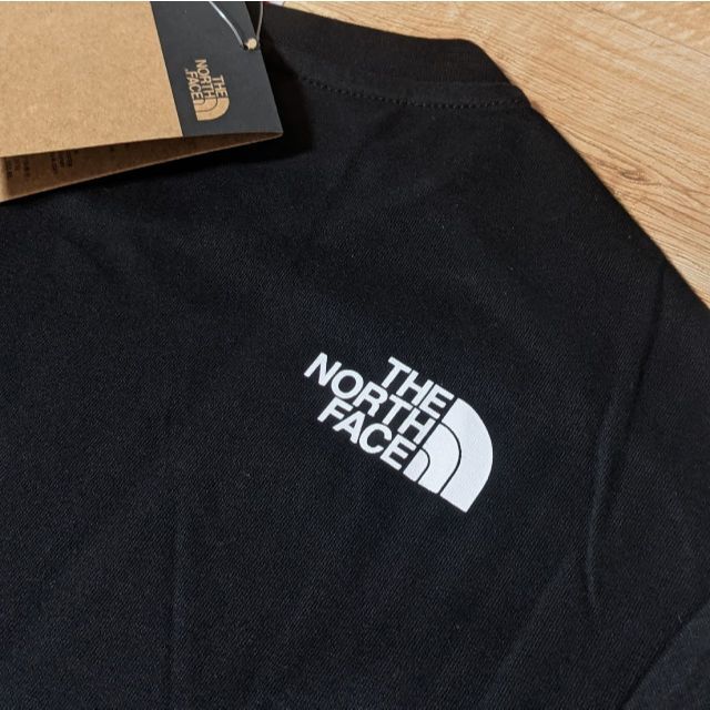 The North Face ファインアルパイン2 ビッグロゴ半袖Ｔシャツ