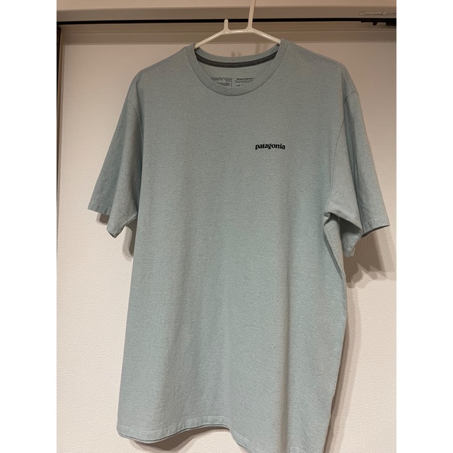 patagonia(パタゴニア)のパタゴニアTシャツ メンズのトップス(Tシャツ/カットソー(半袖/袖なし))の商品写真